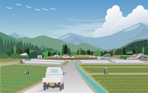 農村RMOについて